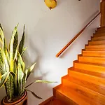 Casa Do Olival 게스트하우스