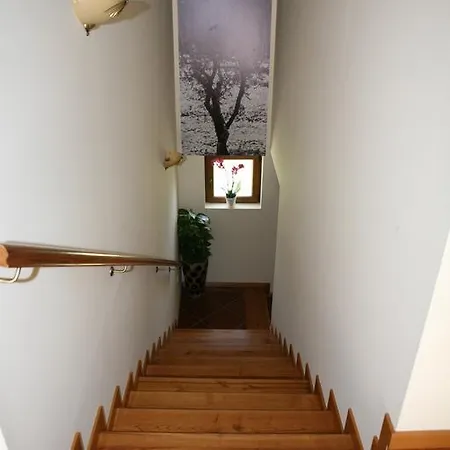 Casa Do Olival ゲストハウス