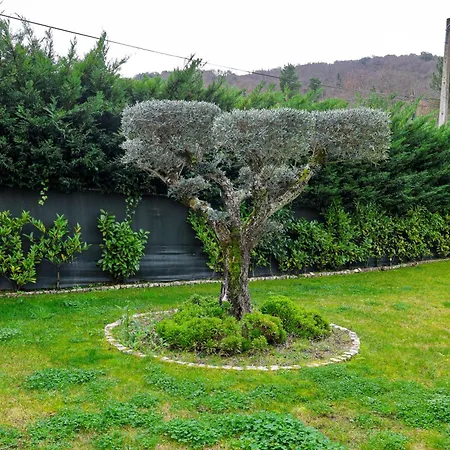 Casa Do Olival 게스트하우스 4*