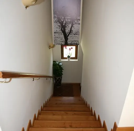 Casa Do Olival Pensión