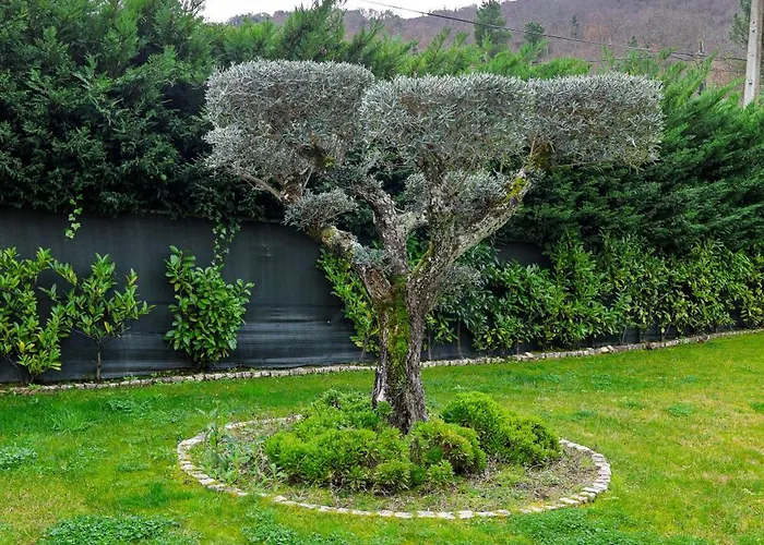 Casa Do Olival 게스트하우스 4*