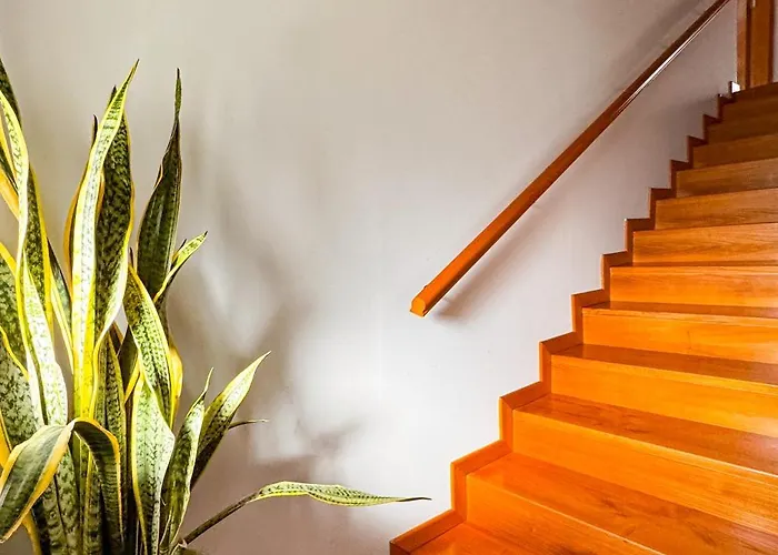 Casa Do Olival Pensión